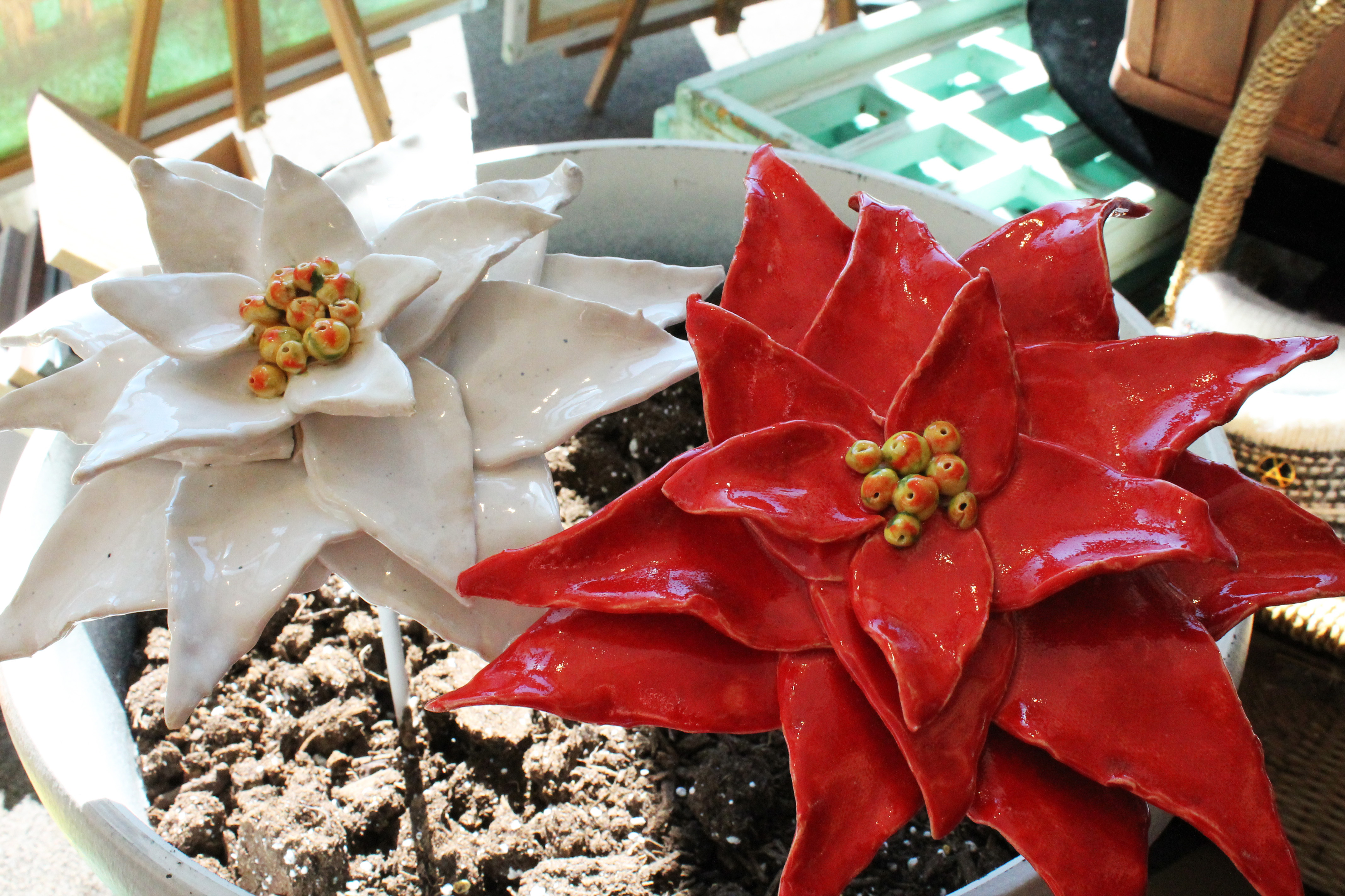 wo handcrafted ceramic poinsettia flowers, one white and one red, with detailed petals and centers, displayed in a pot filled with soil, under natural light