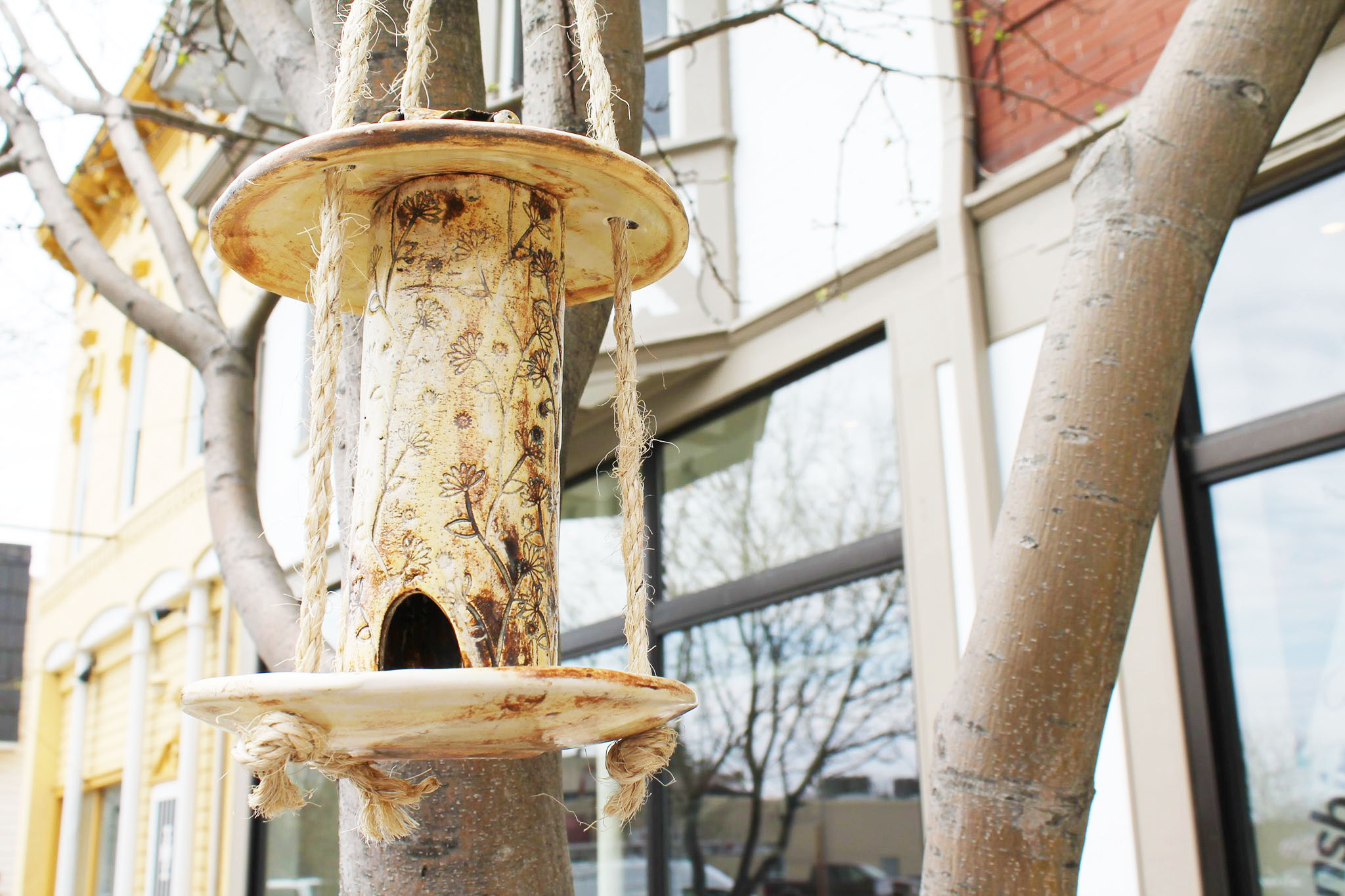 Bird feeder hanging from tree with building in background.