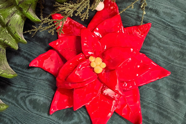 Poinsettia