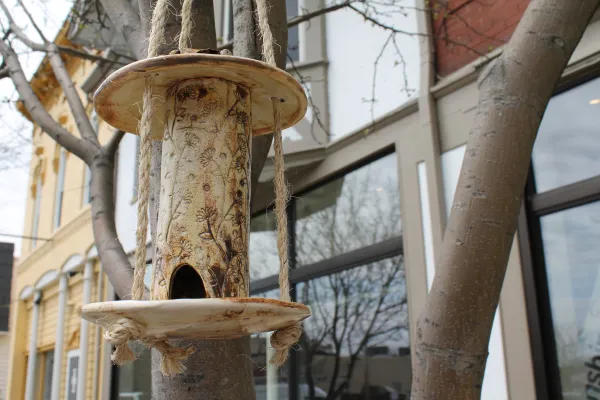 "Handcrafted clay bird feeder hanging from a tree branch in front of a building with large glass windows."