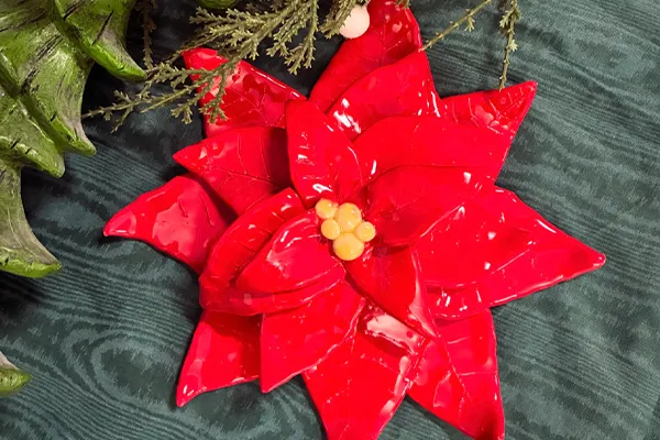 Poinsettia