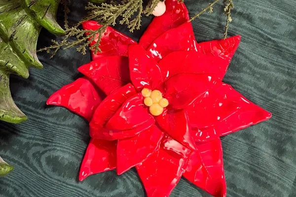 Poinsettia